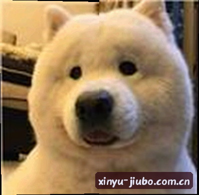 林小萌
